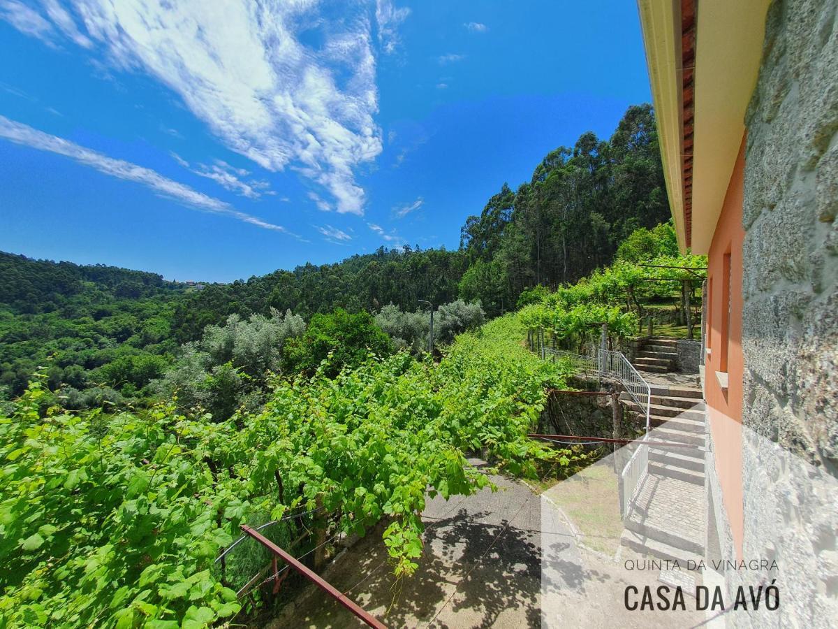 Quinta Da Vinagra Villa Tourim Exteriör bild